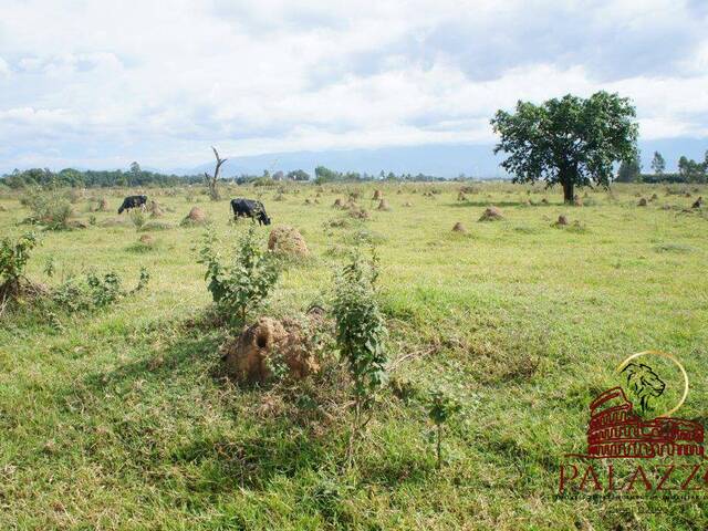 #PZ1428 - Área para Venda em Pindamonhangaba - SP - 2