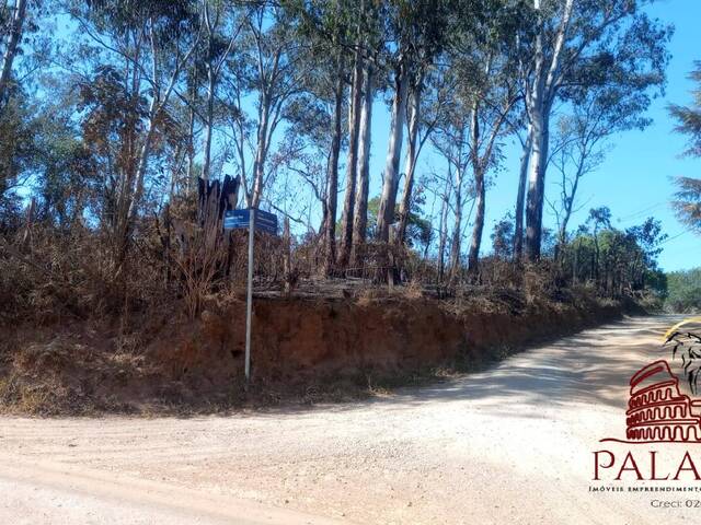 Venda em Caete (Mailasqui) - São Roque