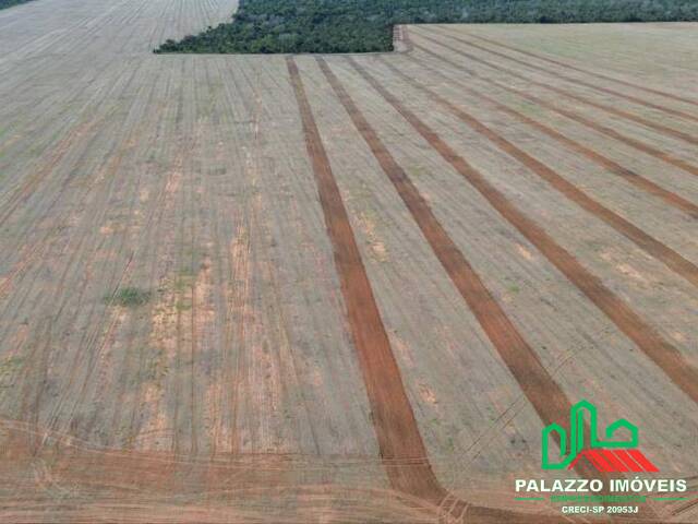 #PZ2396 - Fazenda para Venda em Tupiratins - TO - 1