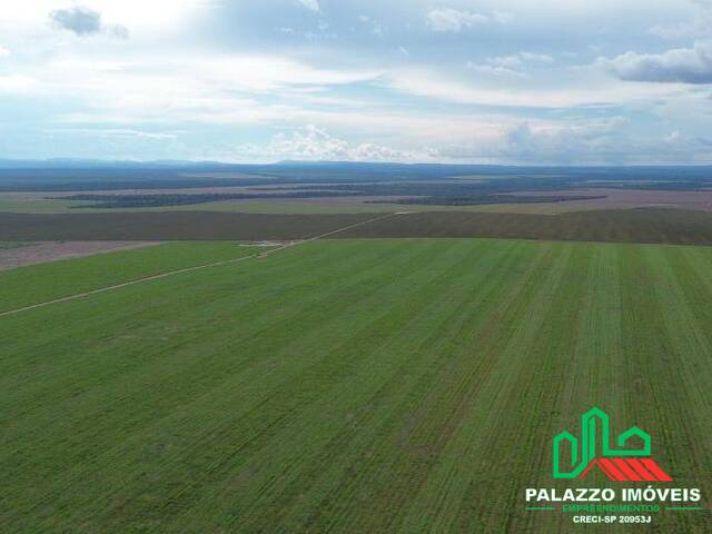 #PZ2396 - Fazenda para Venda em Tupiratins - TO - 3