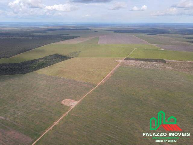 Fazenda para Venda em Tupiratins - 4