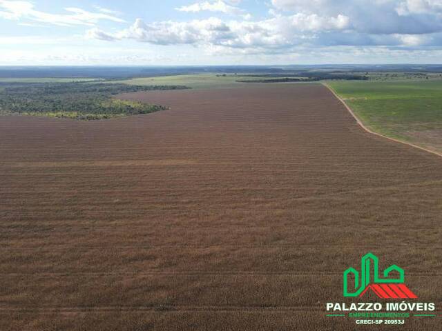 Fazenda para Venda em Tupiratins - 5