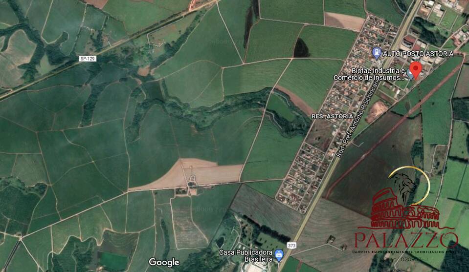 Terreno, 65 hectares - Foto 13