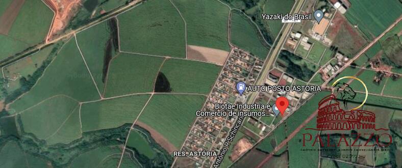 Terreno, 65 hectares - Foto 14