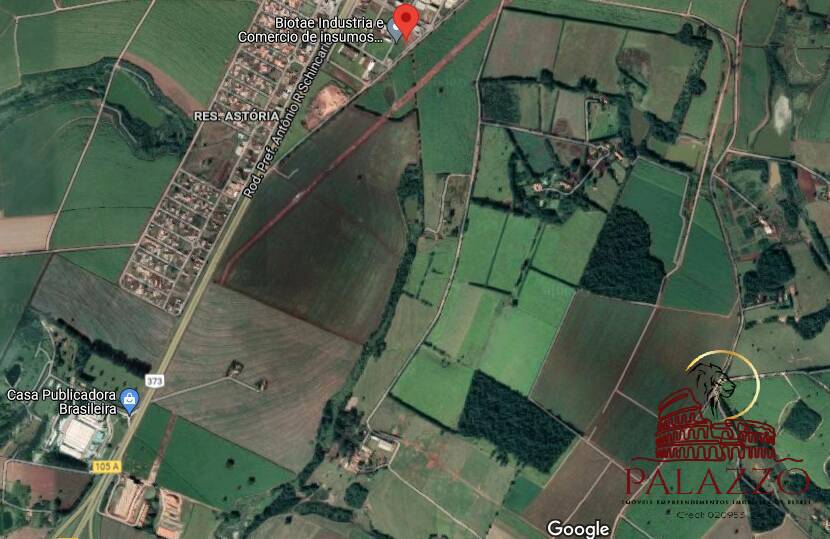 Terreno, 65 hectares - Foto 16