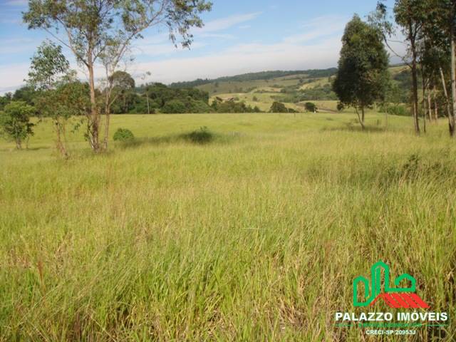 Terreno, 21 hectares - Foto 3