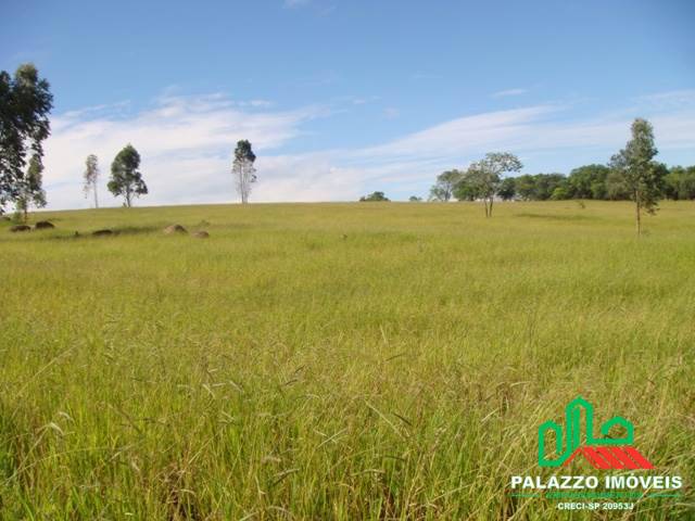 Terreno, 21 hectares - Foto 1