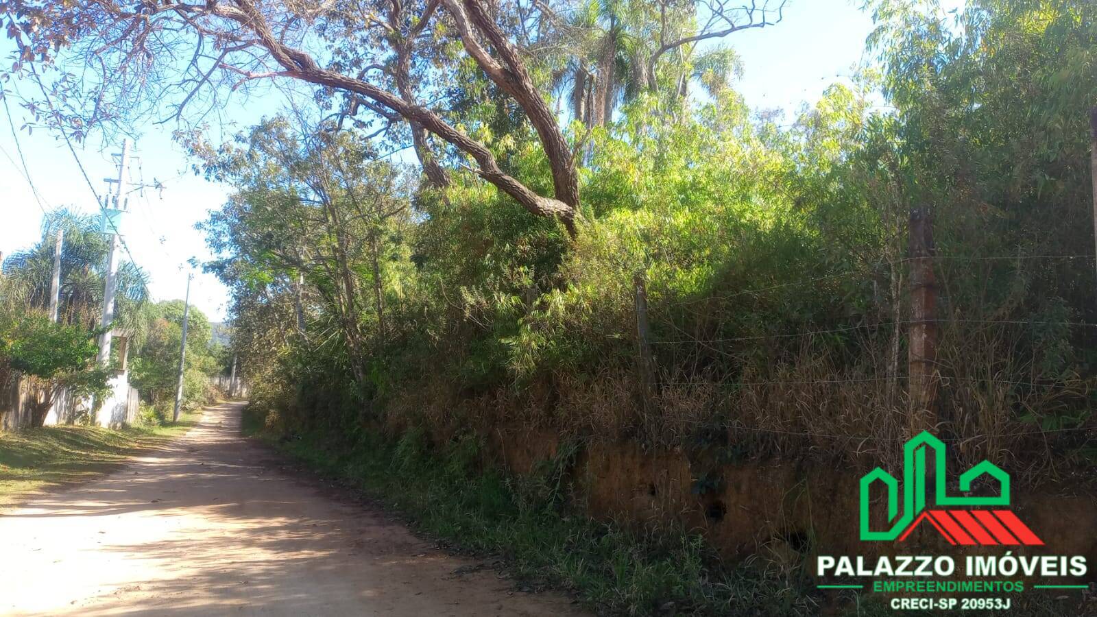 Terreno, 2 hectares - Foto 4
