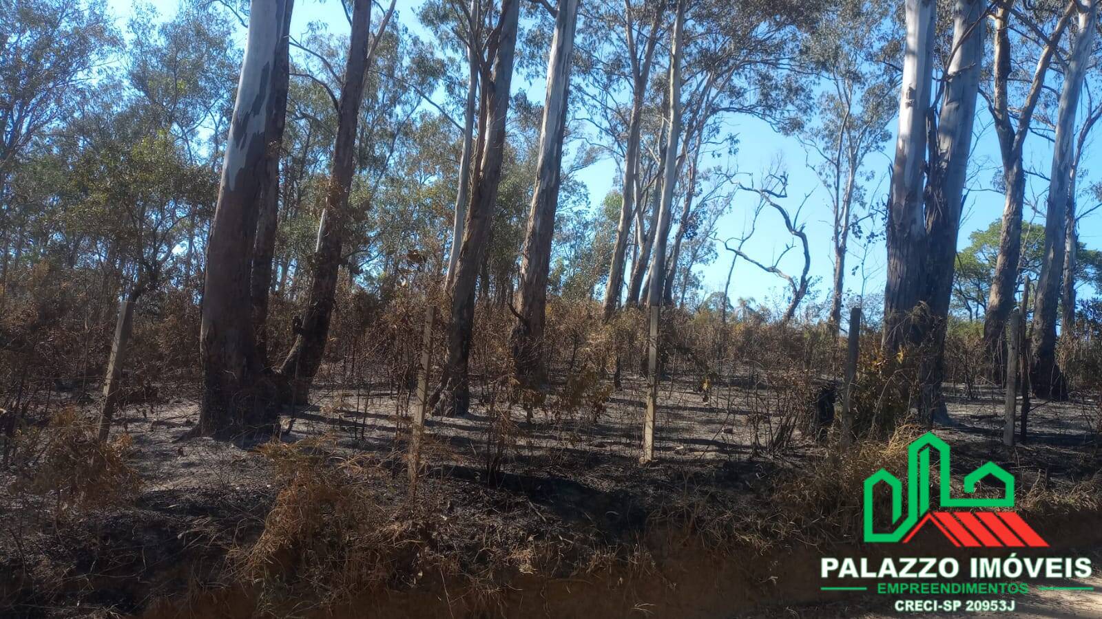 Terreno, 2 hectares - Foto 5