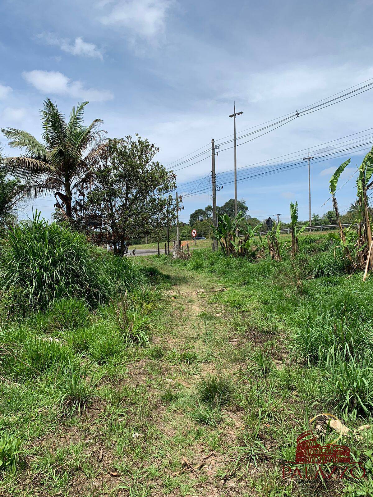 Terreno, 5000 m² - Foto 3