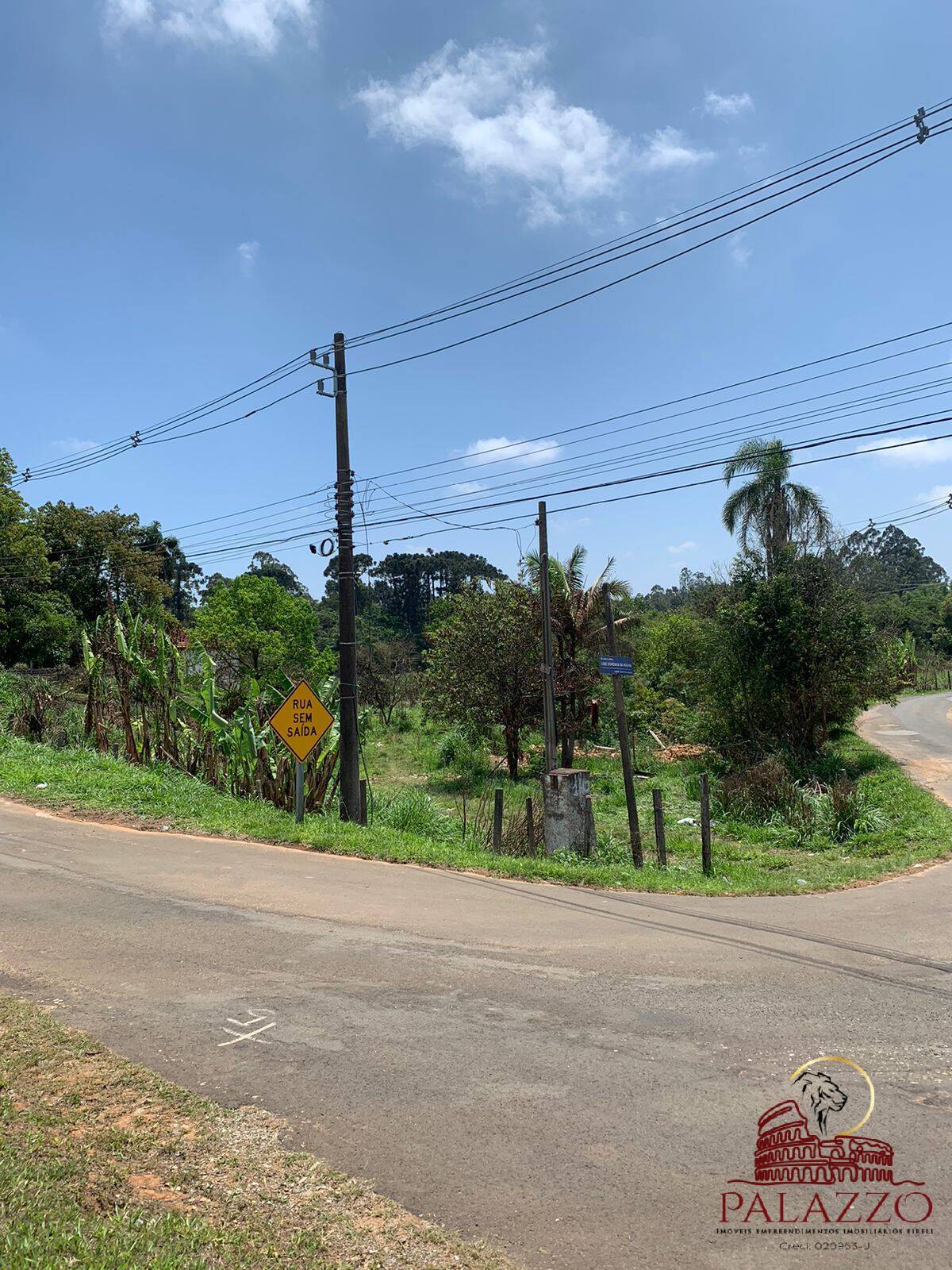 Terreno, 5000 m² - Foto 4