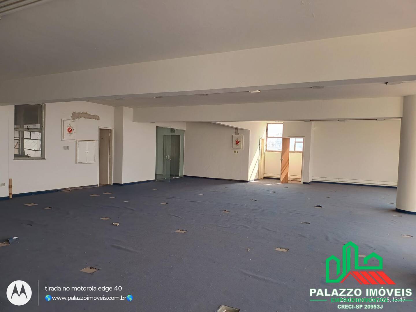 Sala-Conjunto, 517 m² - Foto 4