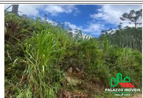 Terreno, 333 hectares - Foto 18