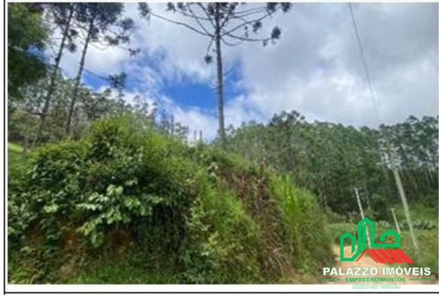 Terreno, 333 hectares - Foto 20