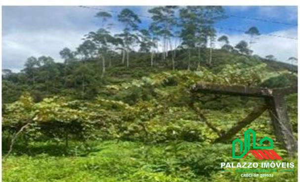 Terreno, 333 hectares - Foto 24