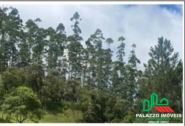 Terreno, 333 hectares - Foto 23