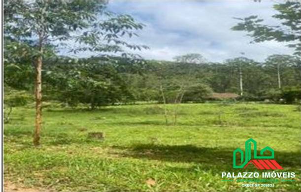 Terreno, 333 hectares - Foto 3