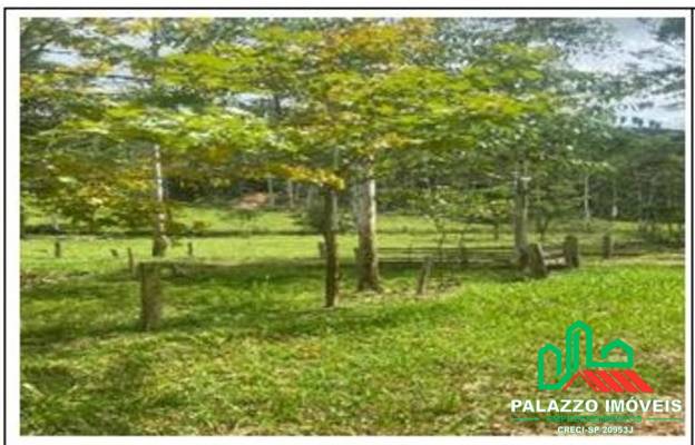 Terreno, 333 hectares - Foto 4