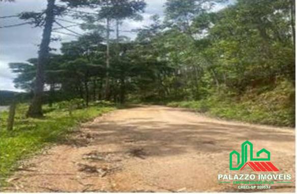 Terreno, 333 hectares - Foto 11