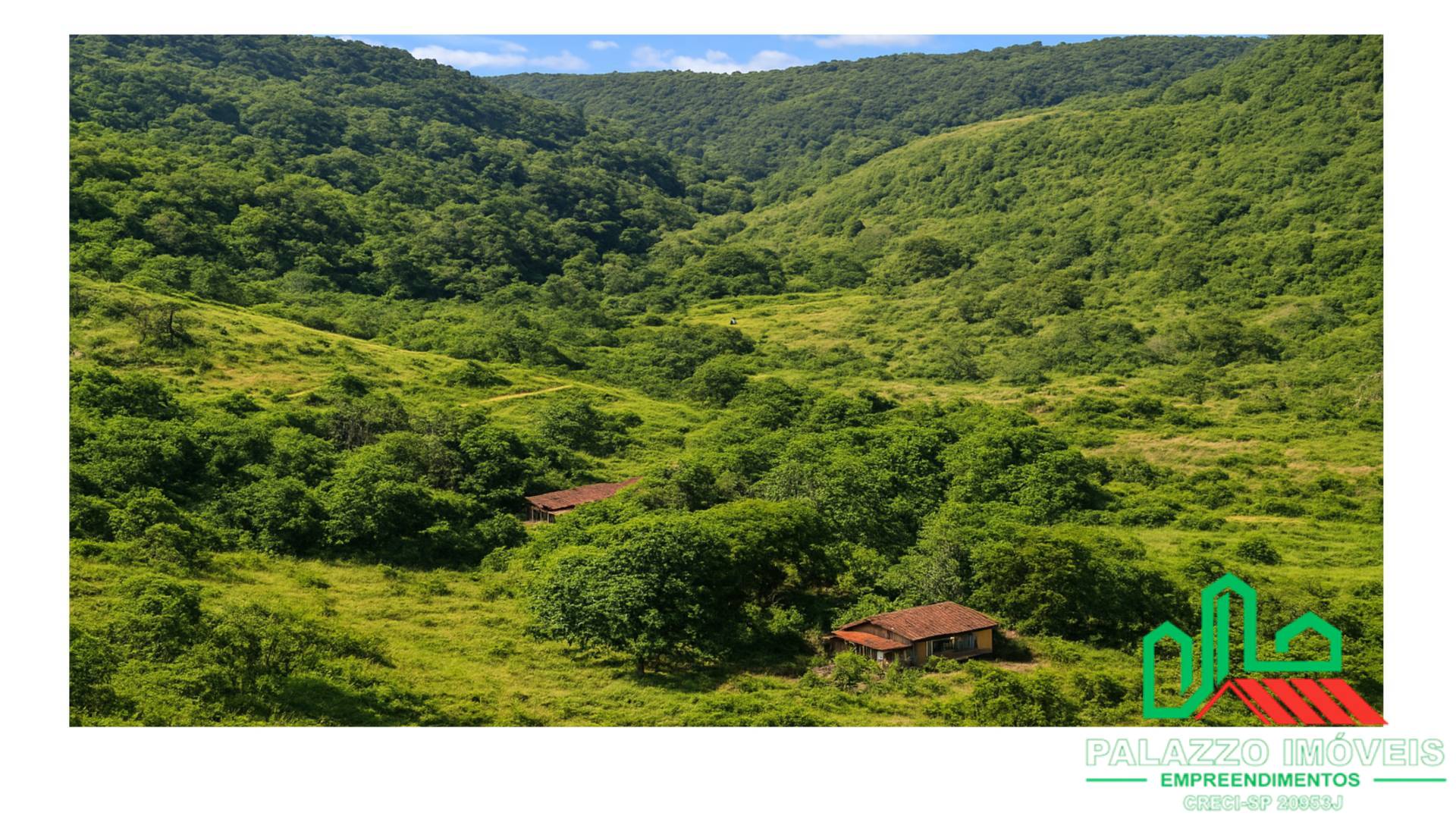 Terreno, 333 hectares - Foto 5