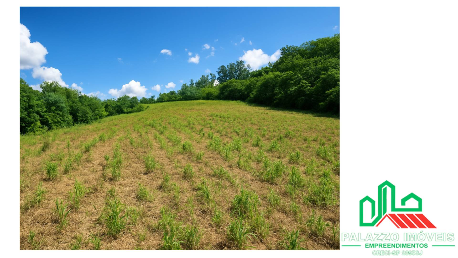 Terreno, 333 hectares - Foto 6