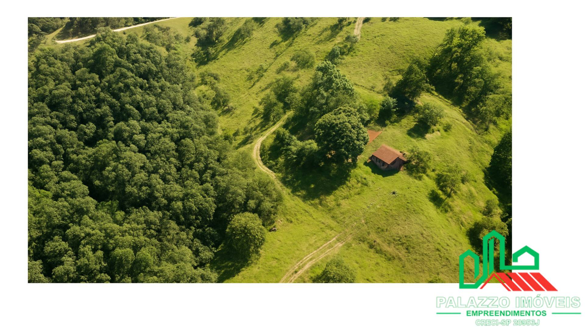 Terreno, 333 hectares - Foto 14