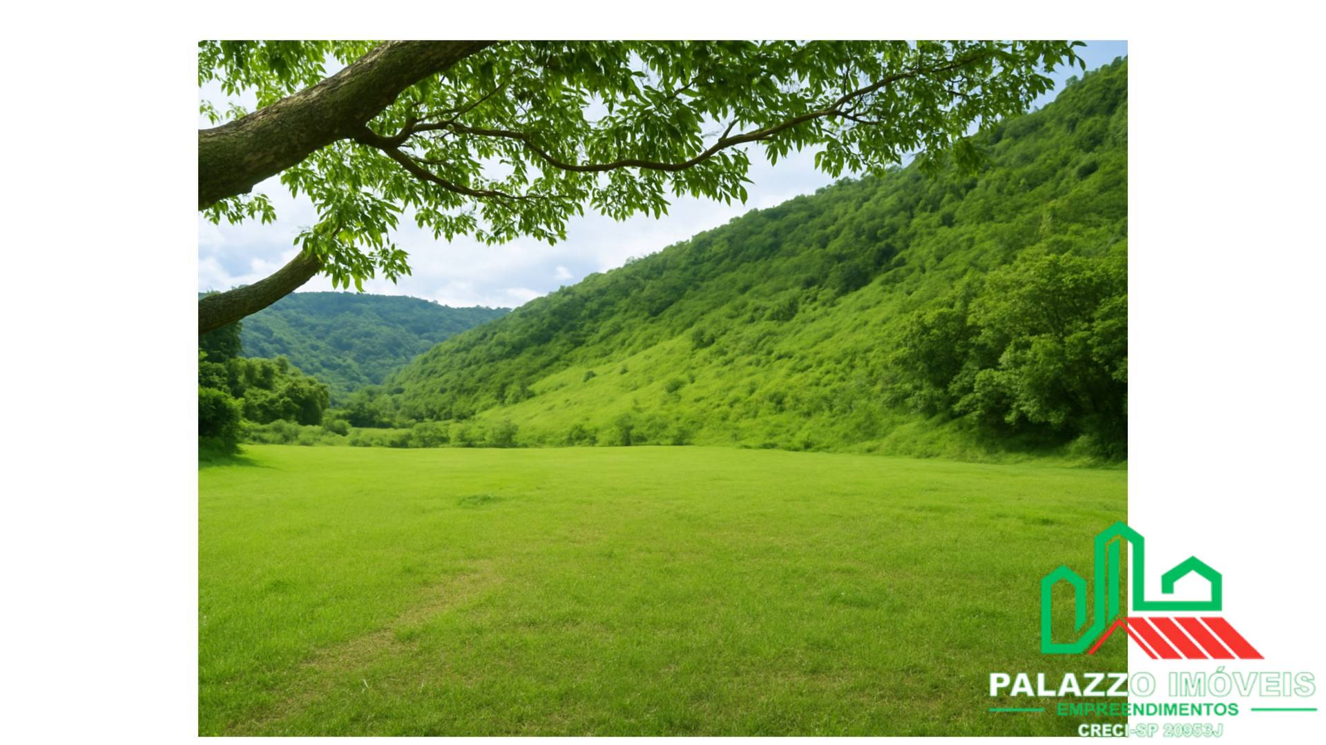 Terreno, 333 hectares - Foto 2