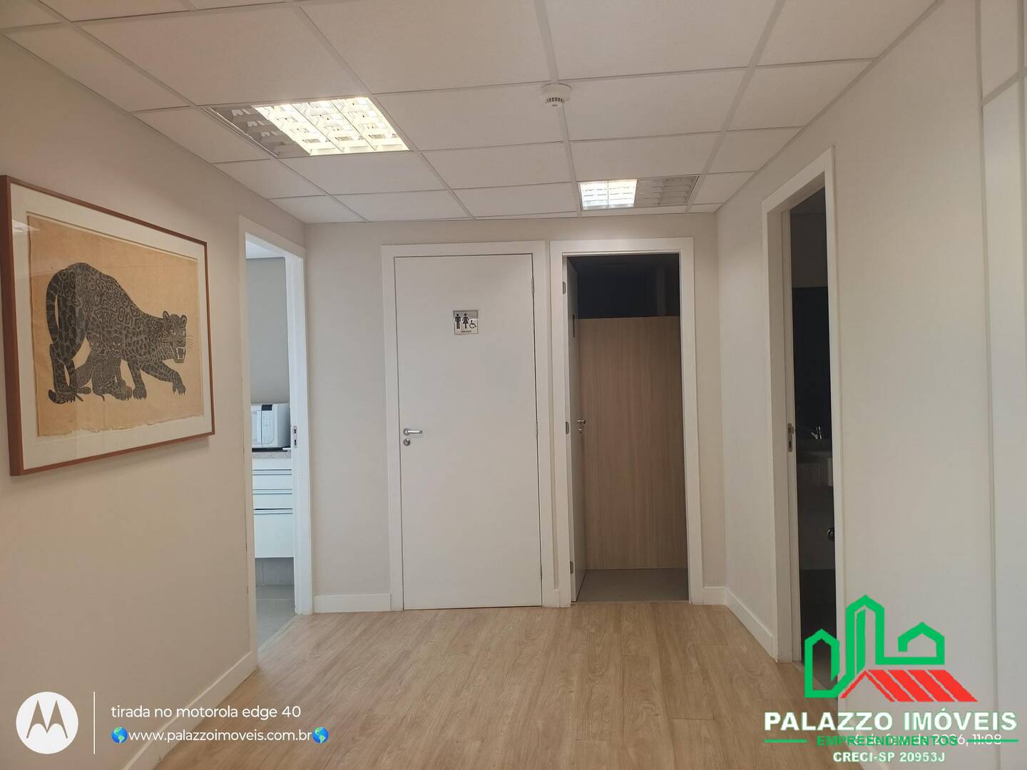 Sala-Conjunto, 475 m² - Foto 11