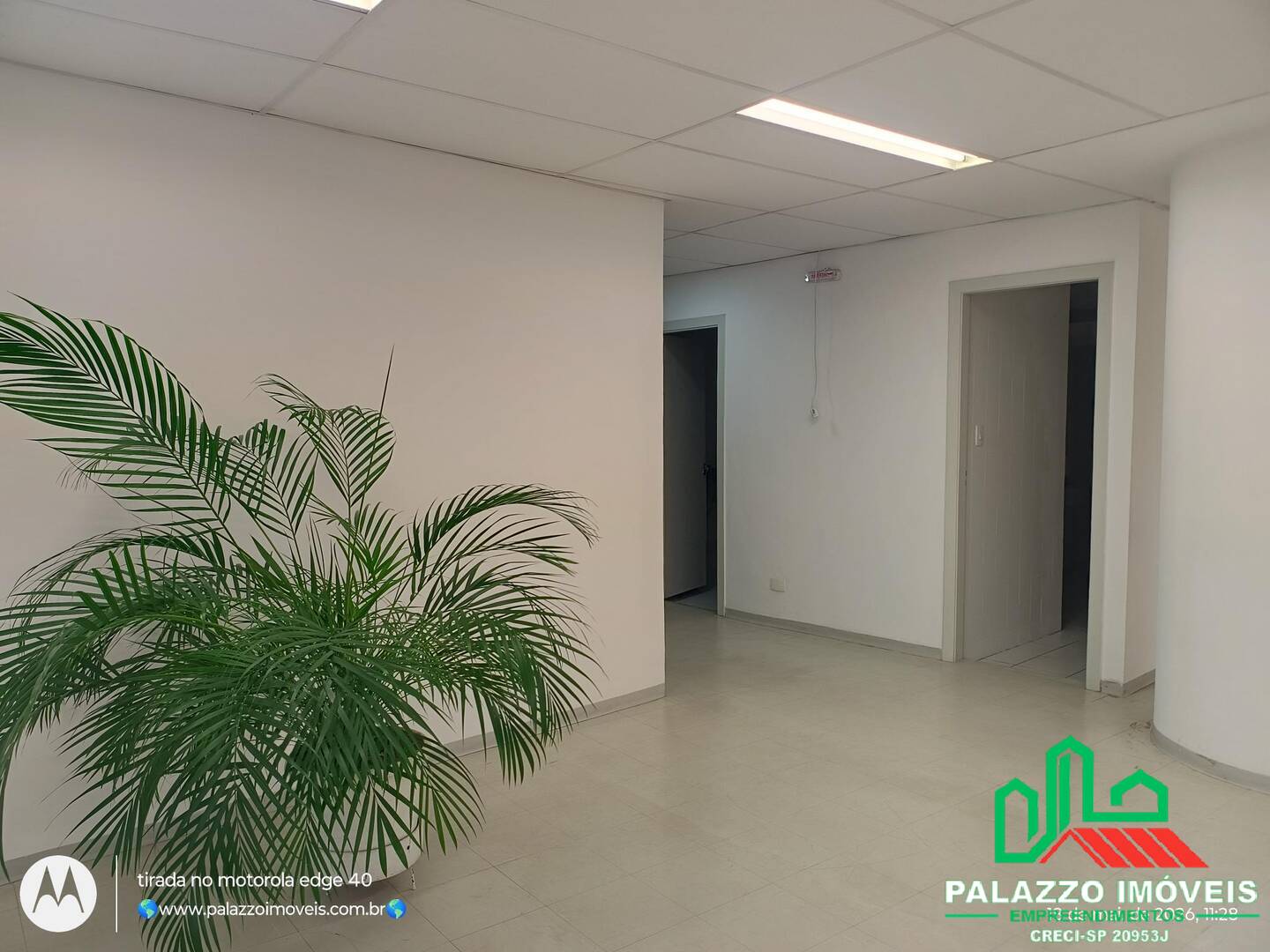 Sala-Conjunto, 475 m² - Foto 15